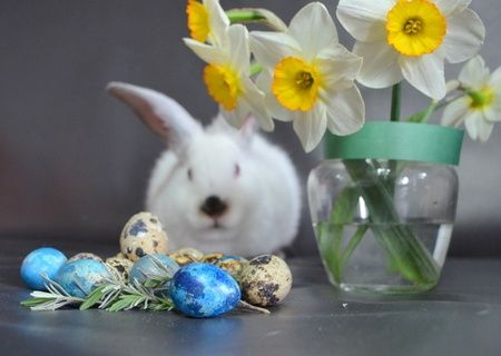 Wielka Sobota - dzień wolny od pracy.